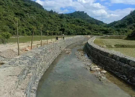 গ্যাবিয়ন জাল (6 সেমি x 8 সেমি) উদ্যান এবং ল্যান্ডস্কেপিংয়ের জন্য নিখুঁত, গরম ডুব গ্যালভানাইজড