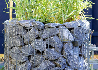 বহুমুখী ঢালাই জাল GABION প্ল্যান্ট জং প্রুফ রক্ষণাবেক্ষণ বিনামূল্যে