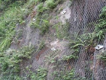 ব্যাংক / পর্বত সুরক্ষার জন্য গ্যালভেনাইজড হেক্সাগোনাল তারের জাল ষড়ভুজ
